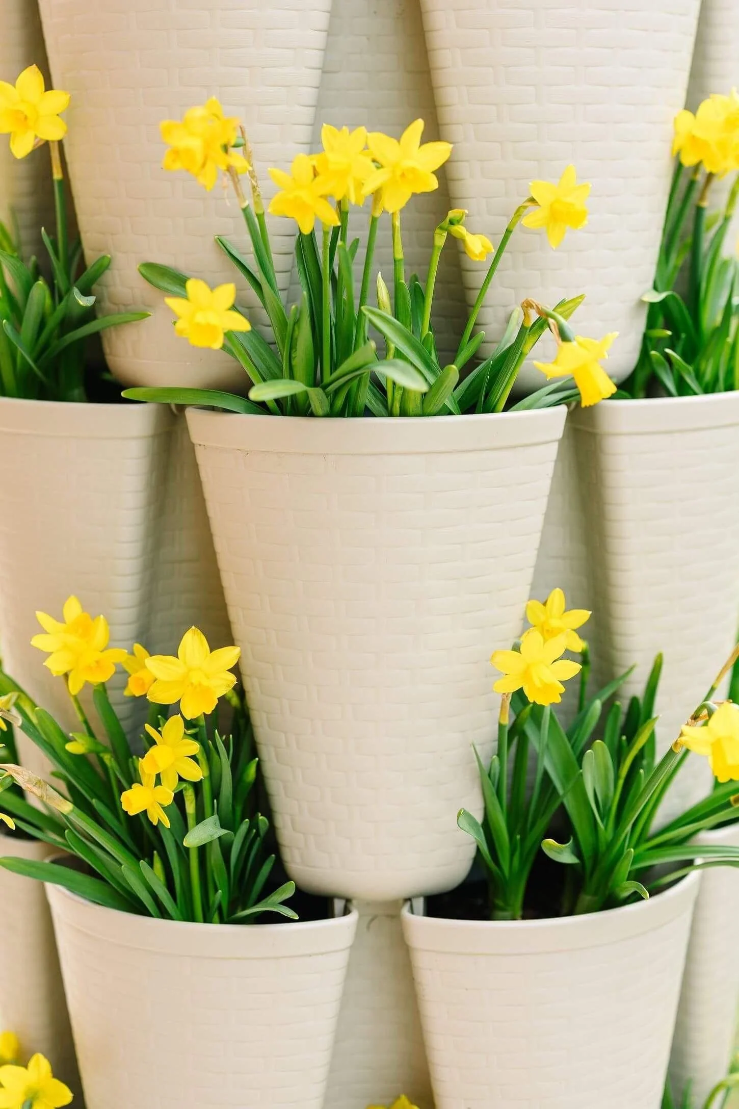 5 Tier GreenStalk Original Vertical Planter | Stunning Stone (Basket Weave Texture) - Image 10