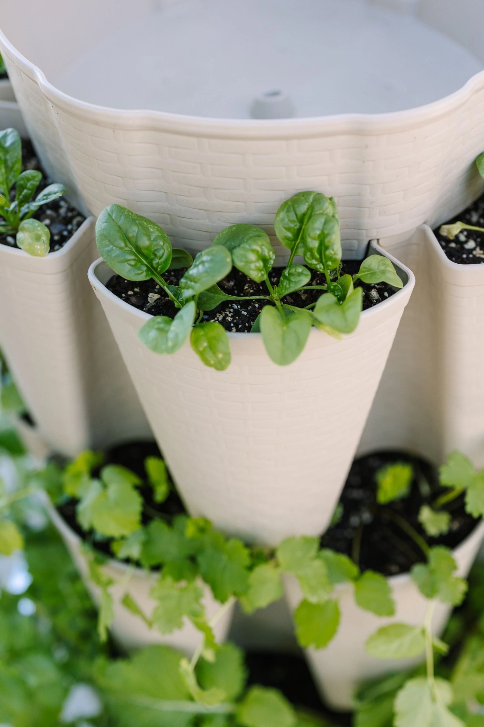 5 Tier GreenStalk Original Vertical Planter | Stunning Stone (Basket Weave Texture) - Image 8