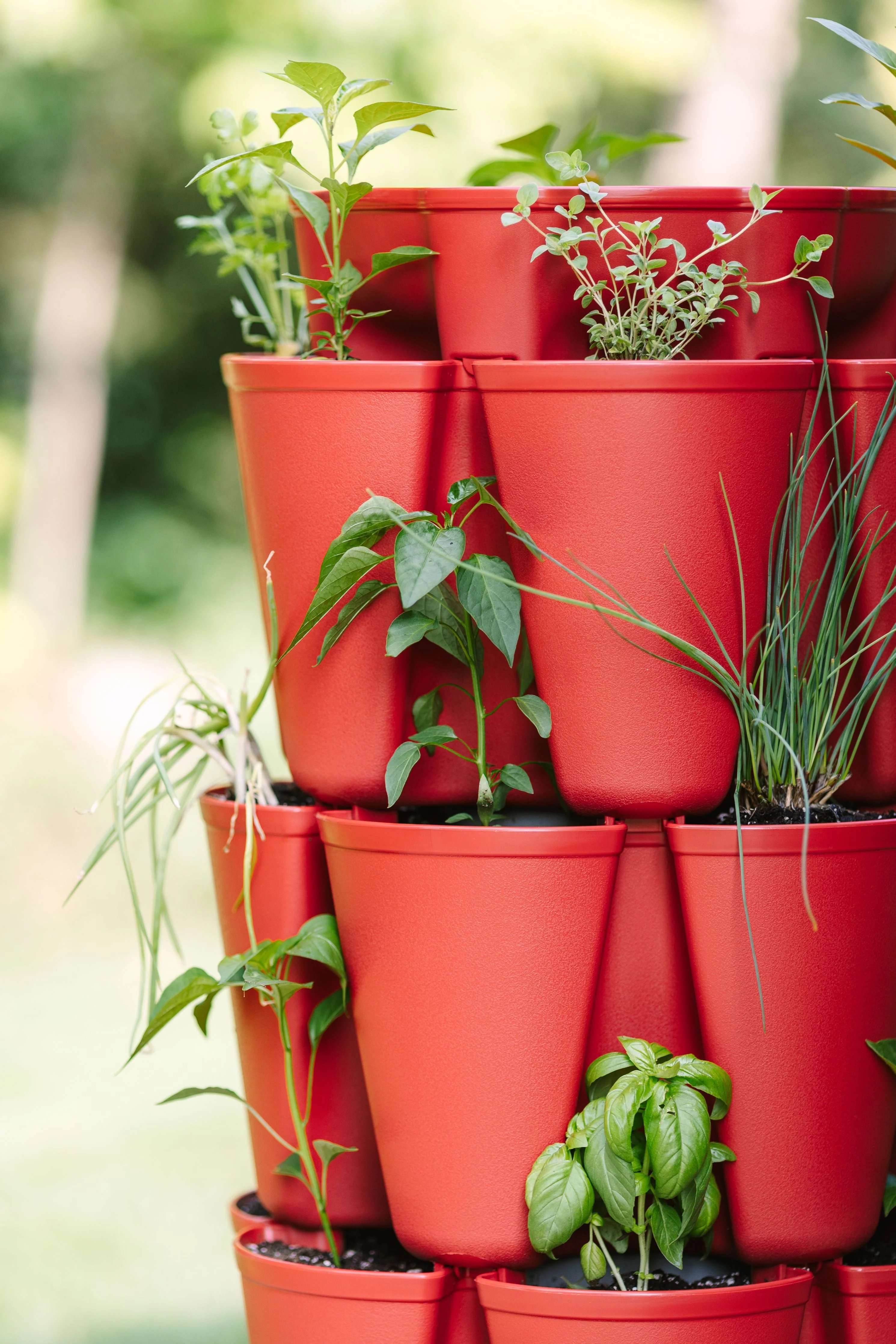5 Tier GreenStalk Original Vertical Planter | Tomato (Basic Texture) - Image 3