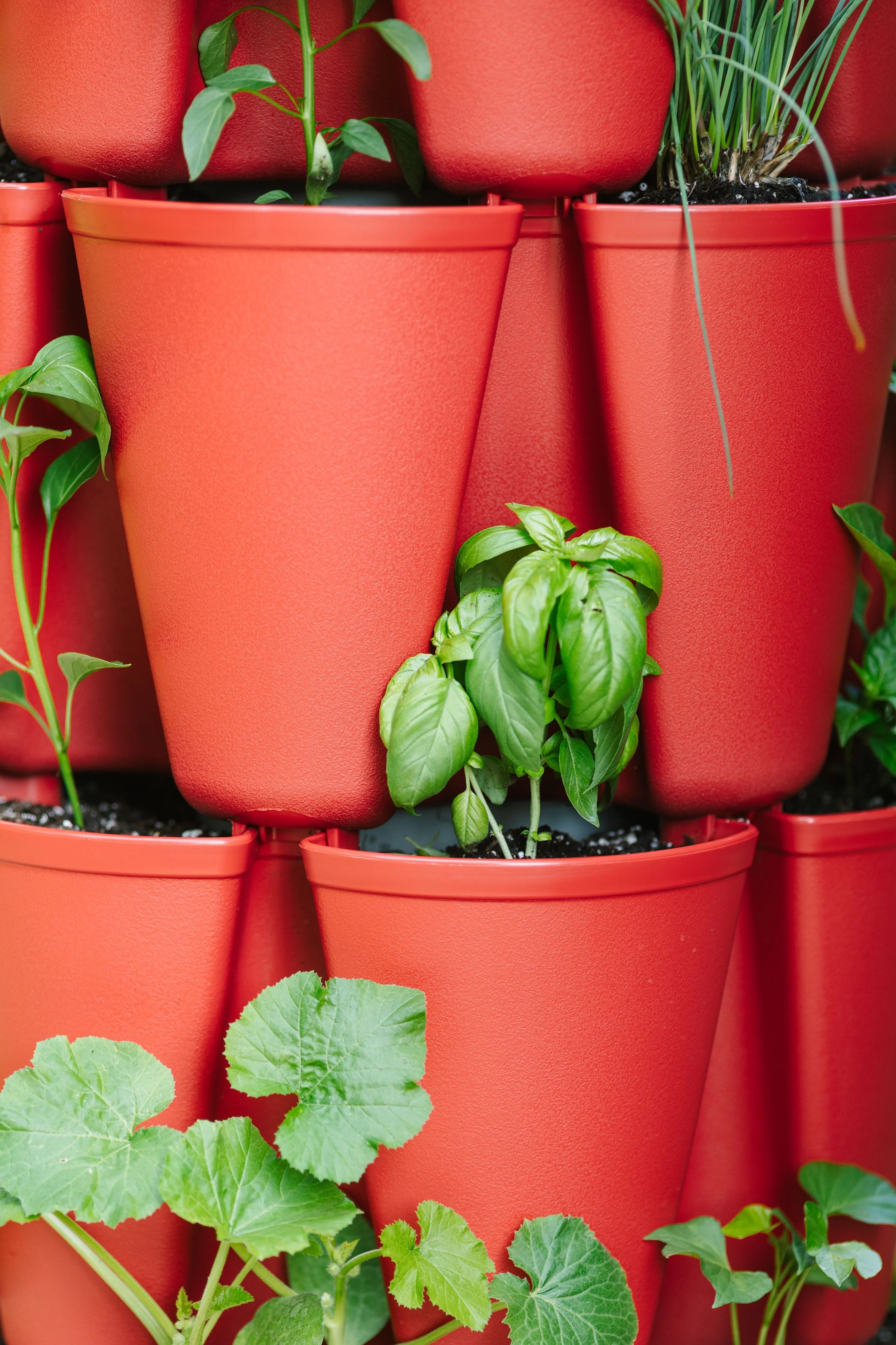 5 Tier GreenStalk Original Vertical Planter | Tomato (Basic Texture) - Image 4