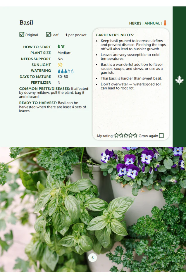 Edible Plant Guide | Digital Download - Image 3