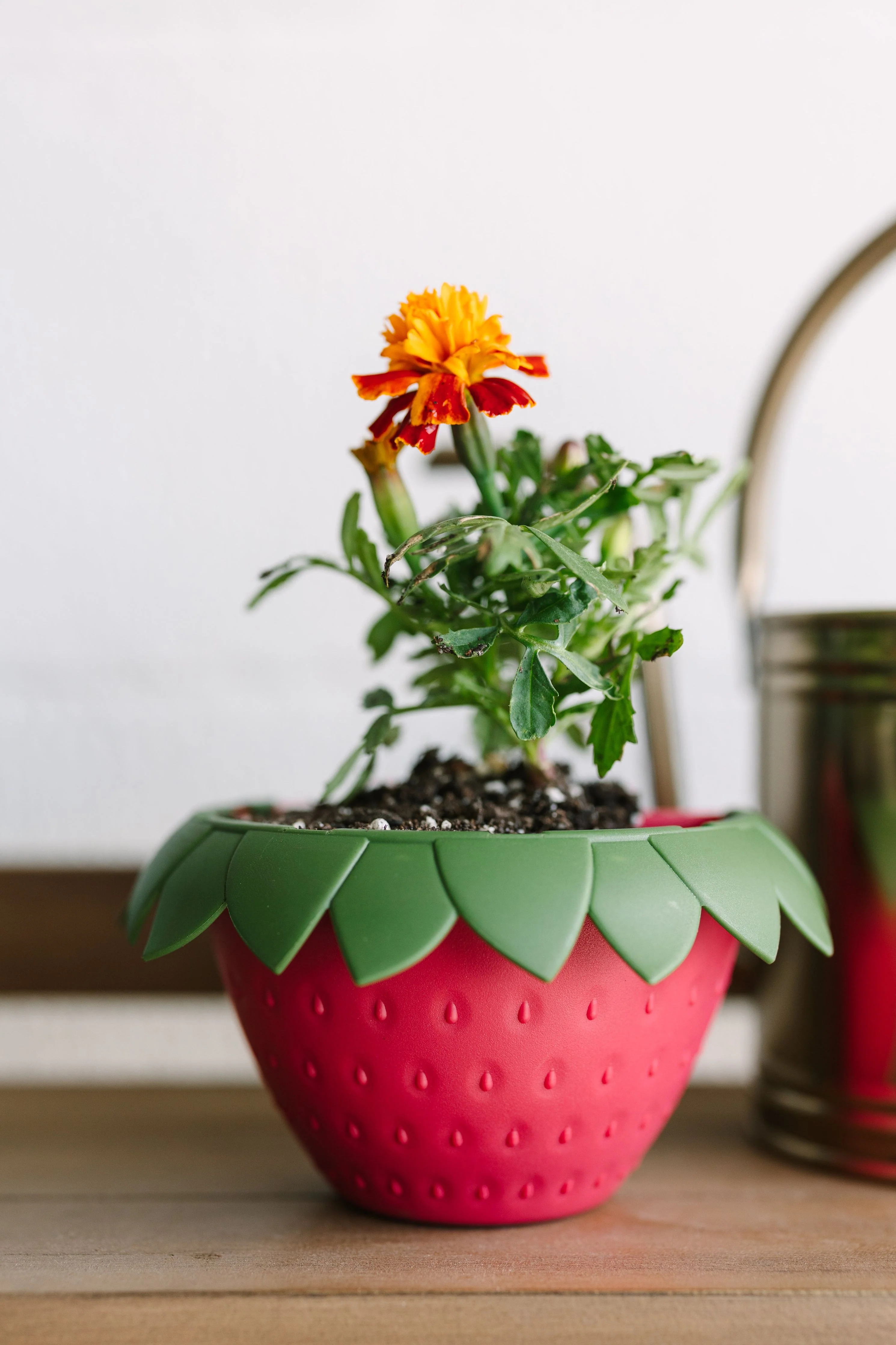 GreenStalk Berry Cup - Set of 6 - Image 9