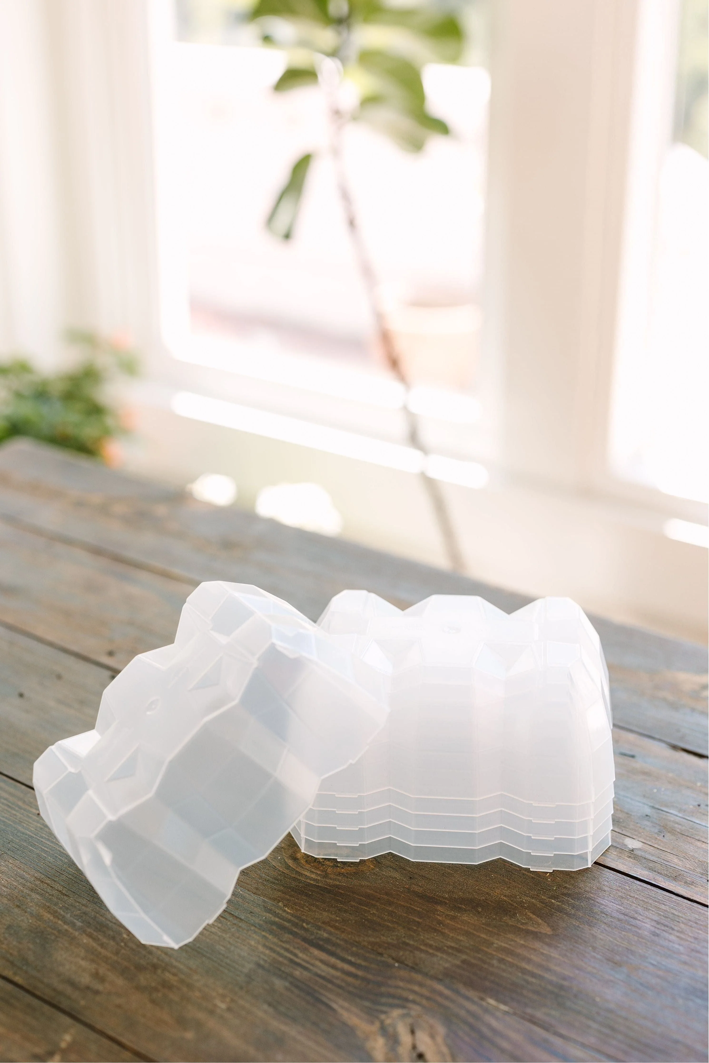 Seed Starter Dome - Set of 6 - Image 5