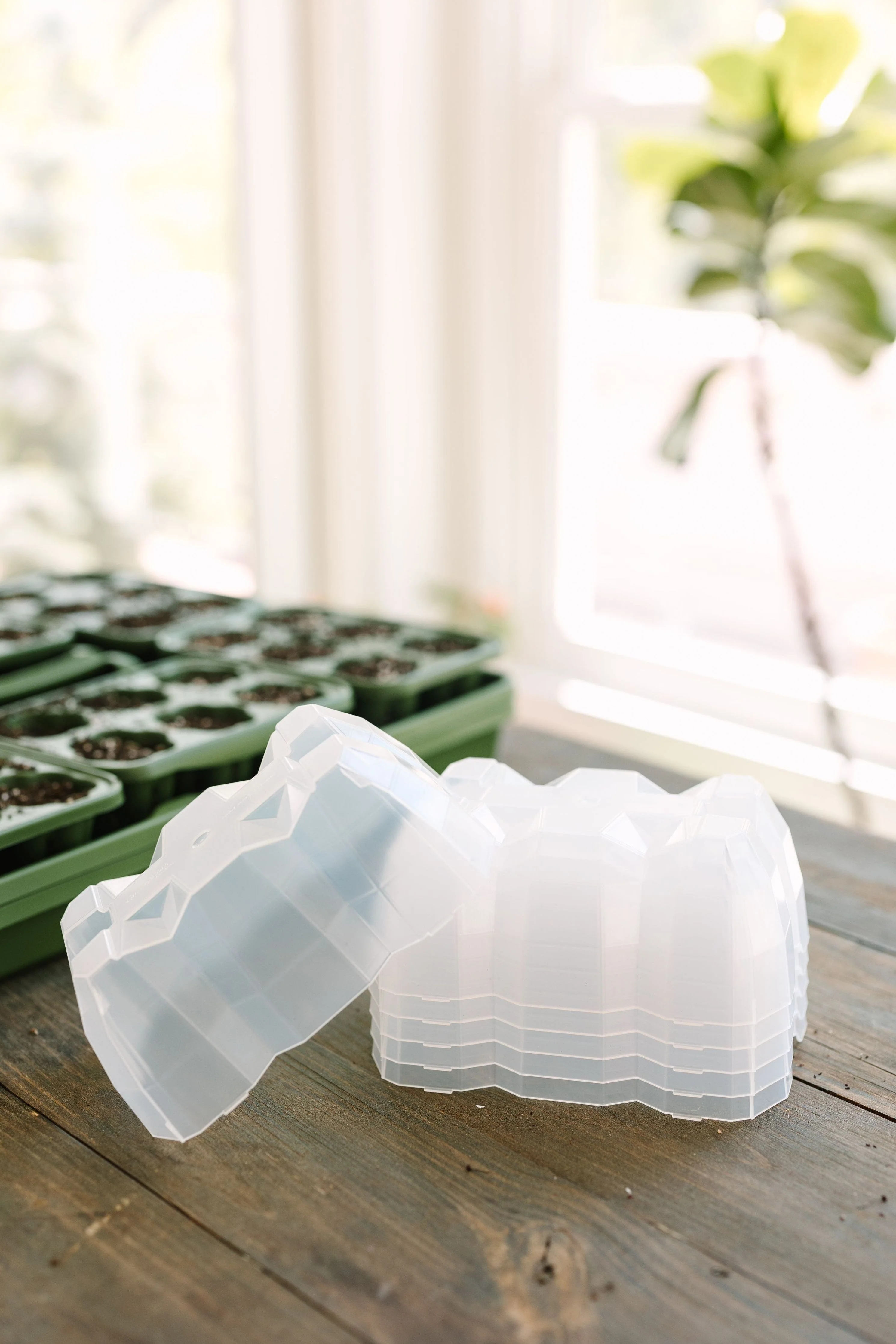 GreenStalk Seed Starter Kit with Domes | Evergreen - Image 10