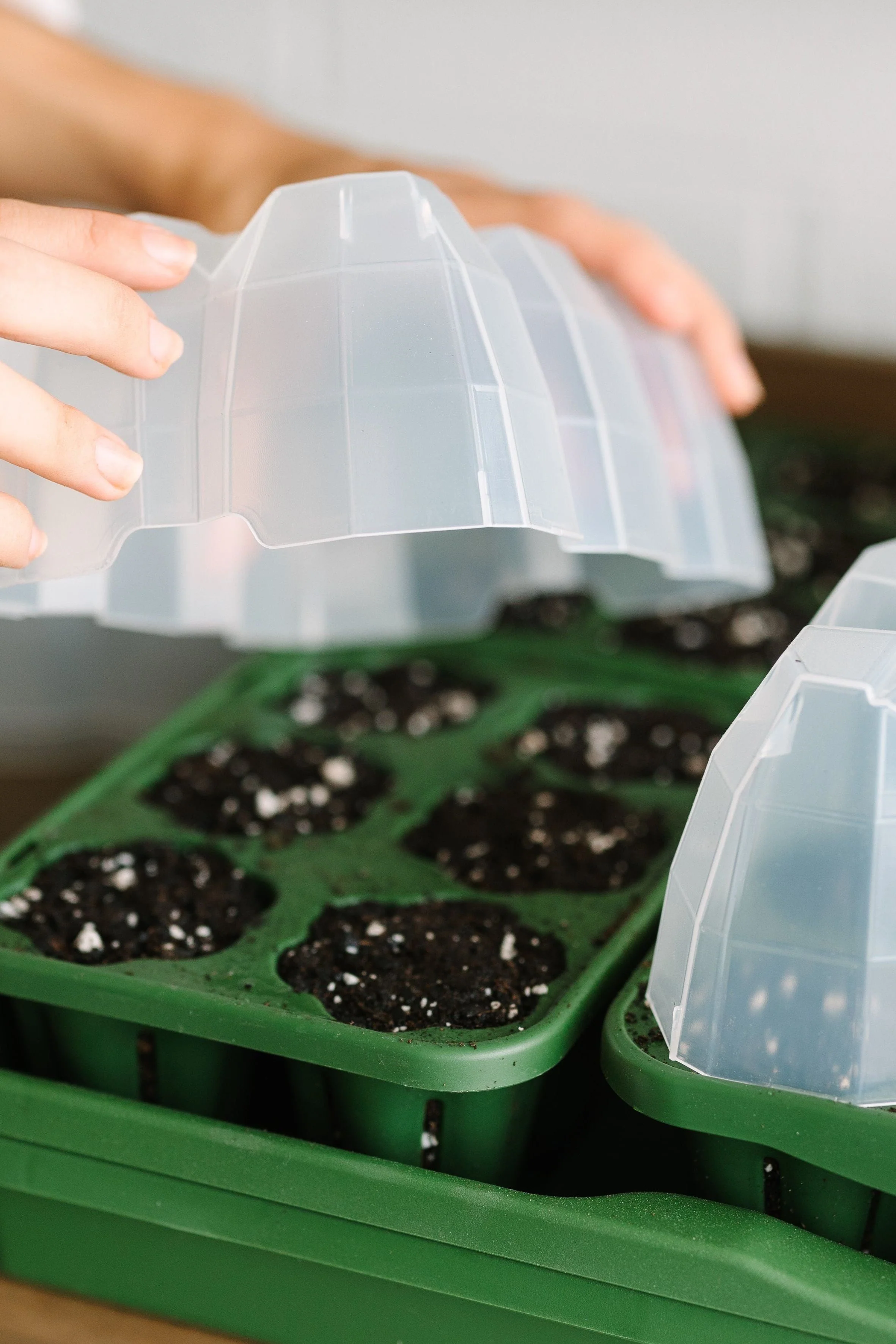 GreenStalk Seed Starter Kit with Domes | Evergreen - Image 3