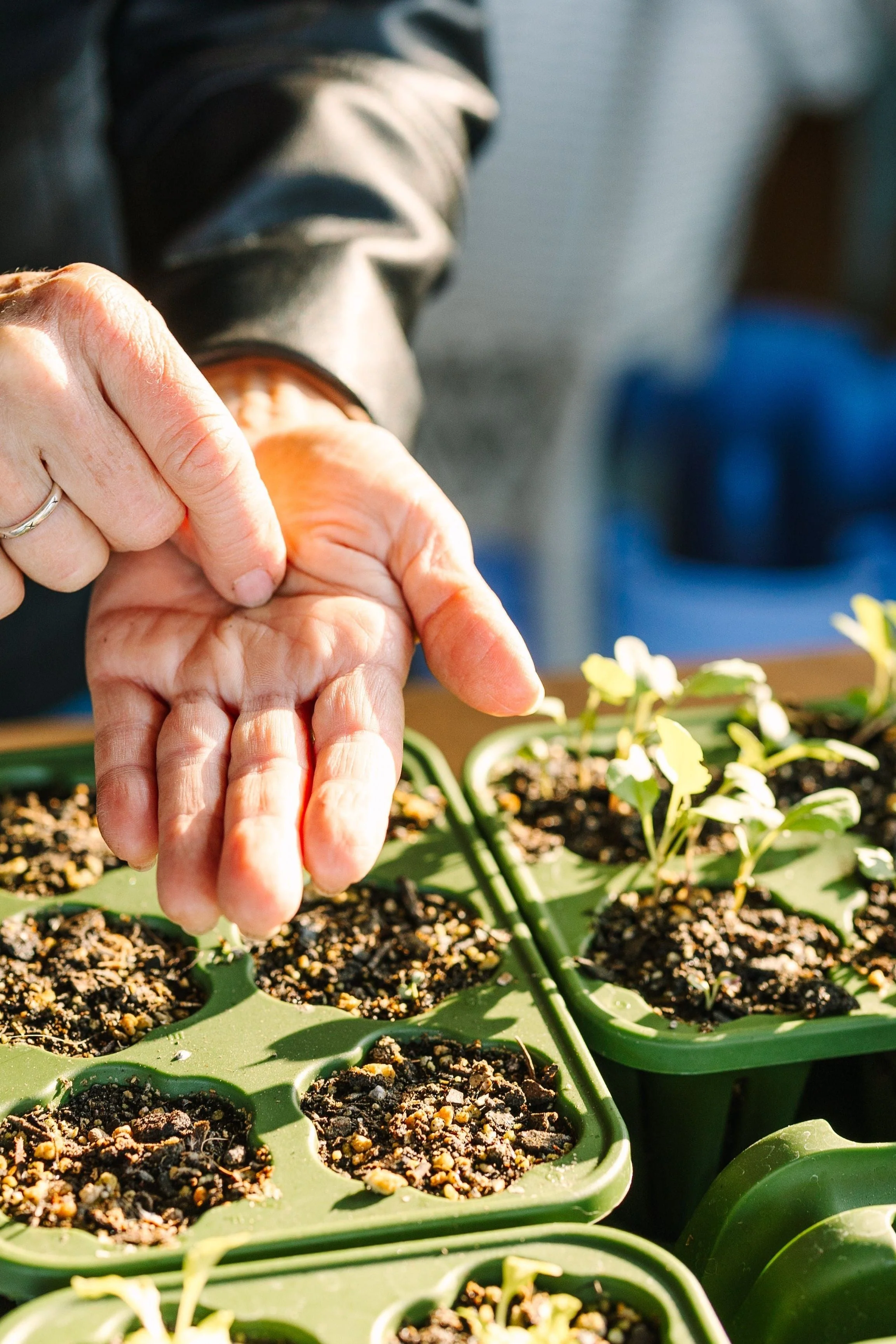 GreenStalk Seed Starter Kit with Domes | Evergreen - Image 7