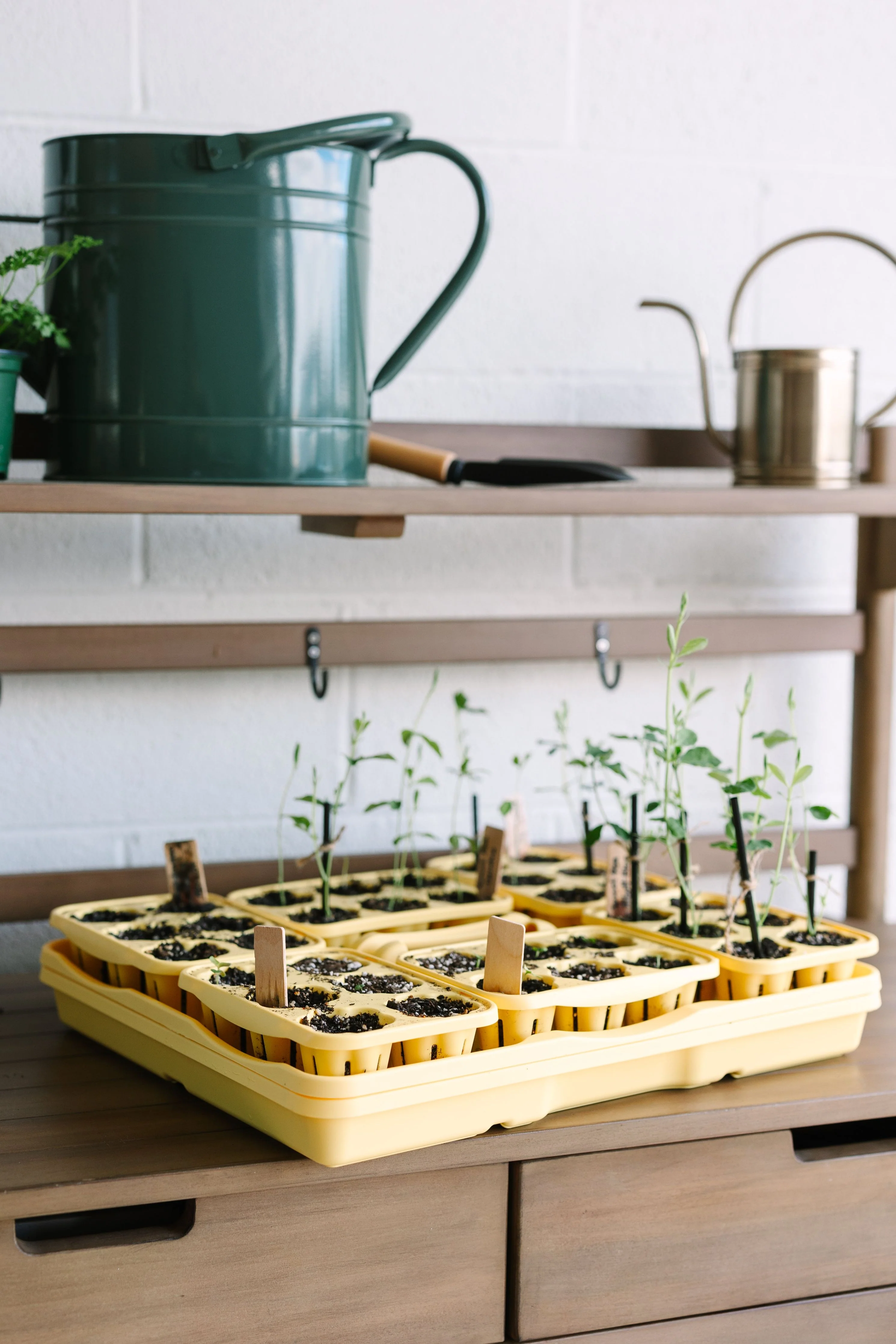 GreenStalk Seed Starter Kit with Domes | Lemon - Image 5