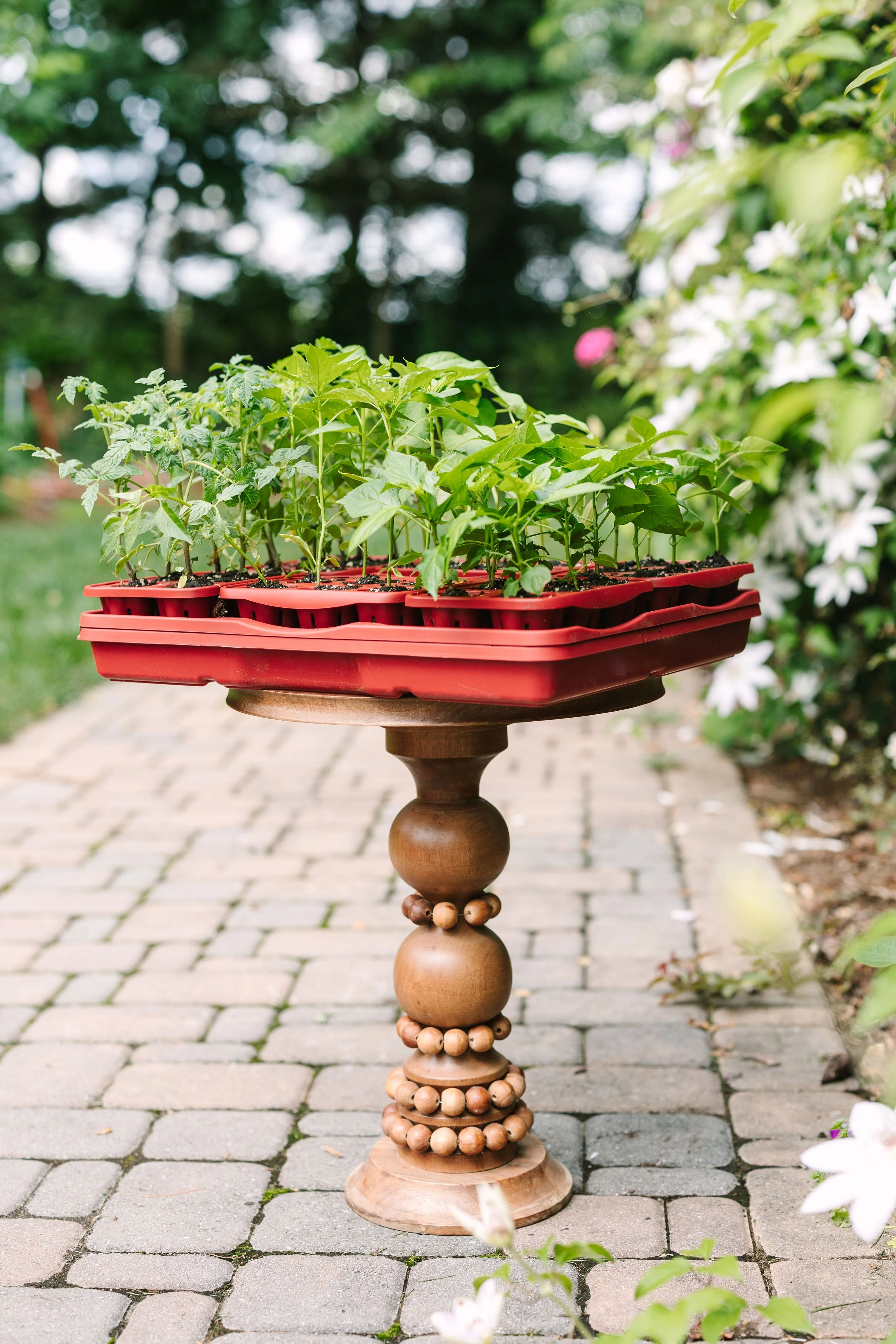 GreenStalk Seed Starter Kit with Domes | Tomato - Image 3