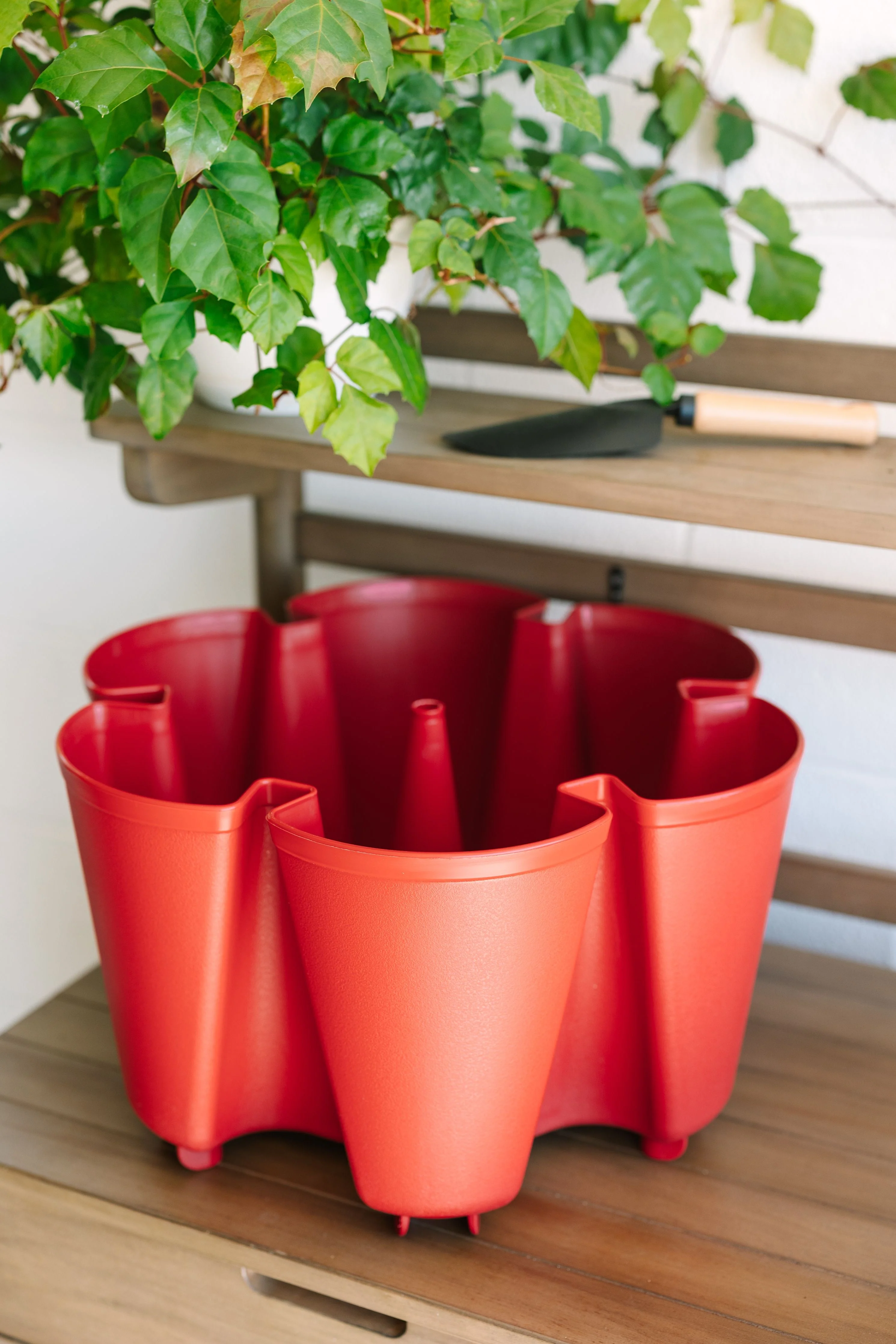 Individual Original Planter | Tomato (Basic Texture)