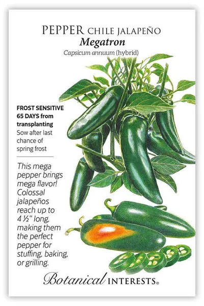 Kim's Kozy Korner Seed Bundle - Image 5