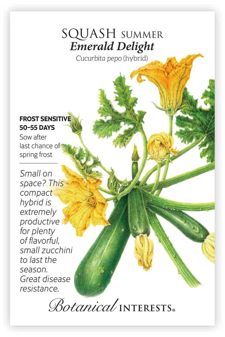 Yellow Door Urban Homestead Seed Bundle - Image 5